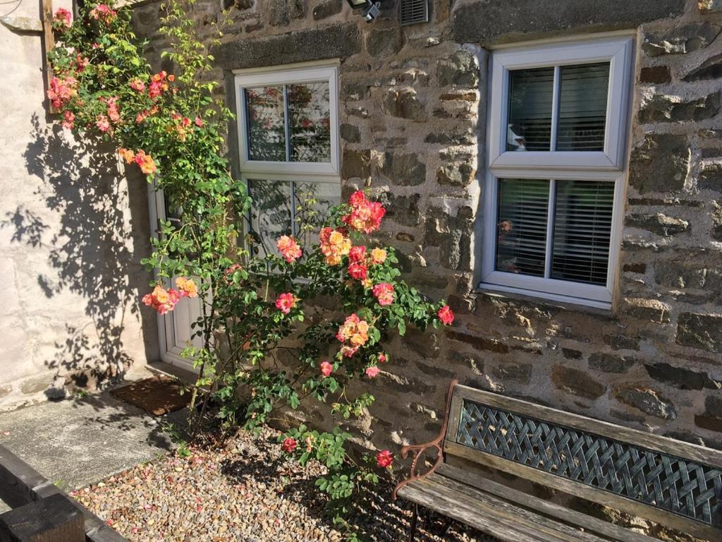 Holmlea Villa Mickleton  Dış mekan fotoğraf